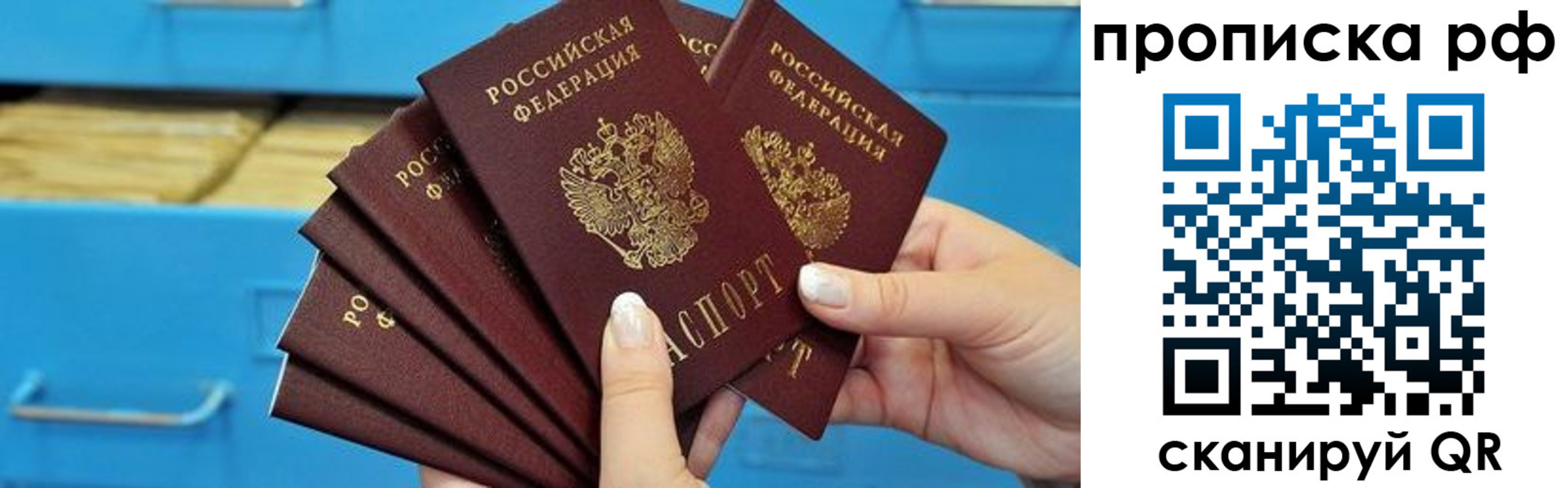 прописка поиск в Ярославской области